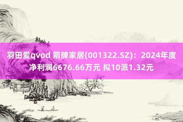 羽田爱qvod 箭牌家居(001322.SZ)：2024年度净利润6676.66万元 拟10派1.32元
