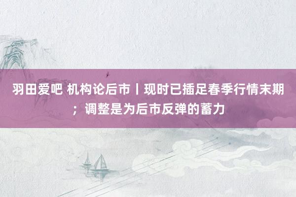 羽田爱吧 机构论后市丨现时已插足春季行情末期；调整是为后市反弹的蓄力