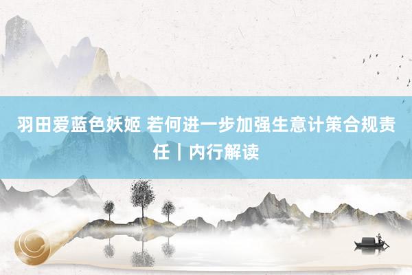 羽田爱蓝色妖姬 若何进一步加强生意计策合规责任｜内行解读