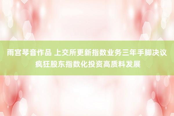 雨宫琴音作品 上交所更新指数业务三年手脚决议 疯狂股东指数化投资高质料发展