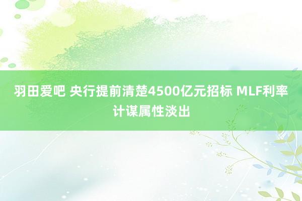 羽田爱吧 央行提前清楚4500亿元招标 MLF利率计谋属性淡出