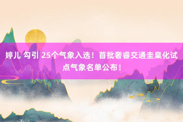 婷儿 勾引 25个气象入选！首批奢睿交通圭臬化试点气象名单公布！