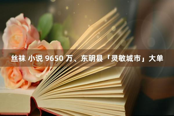 丝袜 小说 9650 万、东明县「灵敏城市」大单
