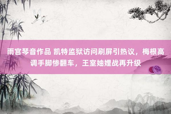 雨宫琴音作品 凯特监狱访问刷屏引热议，梅根高调手脚惨翻车，王室妯娌战再升级