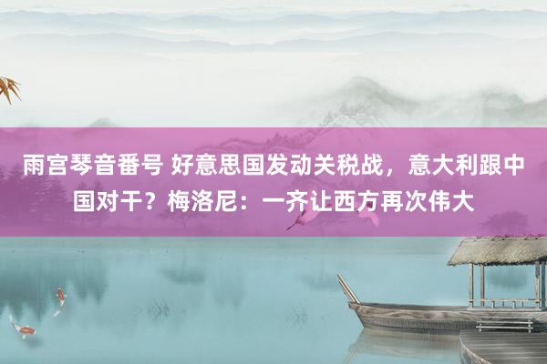 雨宫琴音番号 好意思国发动关税战，意大利跟中国对干？梅洛尼：一齐让西方再次伟大