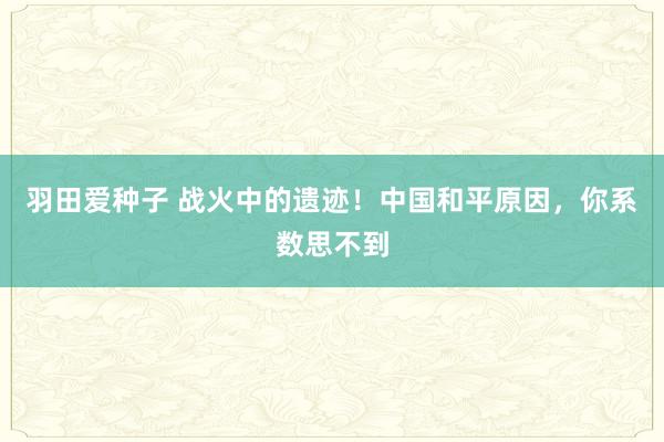 羽田爱种子 战火中的遗迹！中国和平原因，你系数思不到