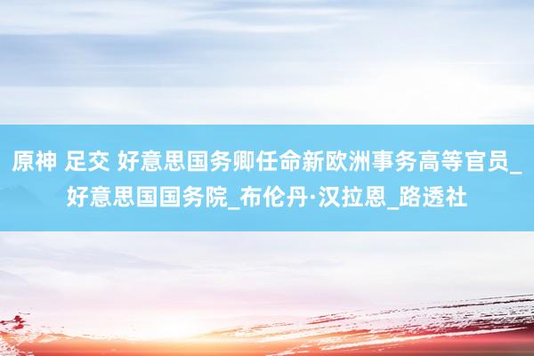 原神 足交 好意思国务卿任命新欧洲事务高等官员_好意思国国务院_布伦丹·汉拉恩_路透社