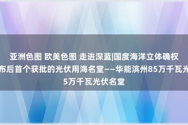 亚洲色图 欧美色图 走进深蓝|国度海洋立体确权战略颁布后首个获批的光伏用海名堂——华能滨州85万千瓦光伏名堂