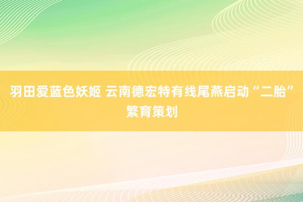 羽田爱蓝色妖姬 云南德宏特有线尾燕启动“二胎”繁育策划